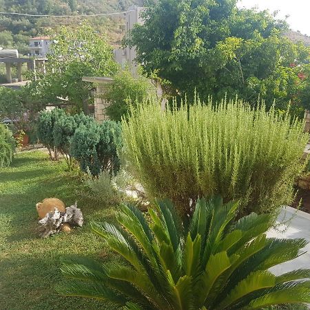 Spyridoula'S Guest House Himare Buitenkant foto